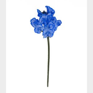 Blue Indepence
