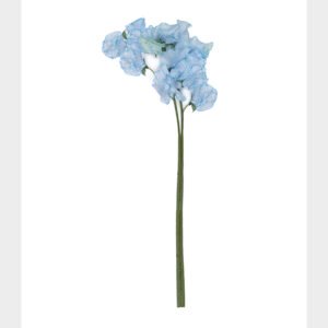 Gum Blue
