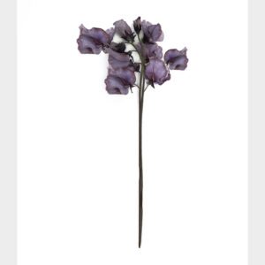 Violet Wine